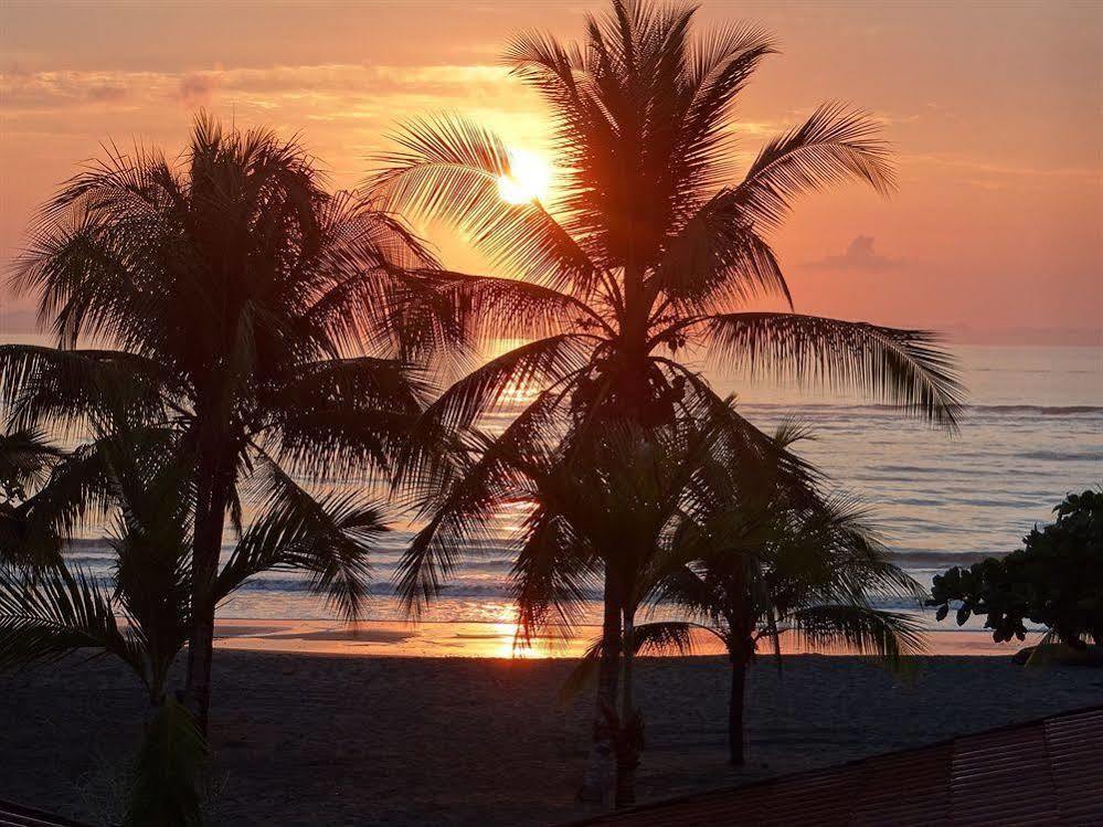 Agua Dulce On The Beach Puerto Jiménez 외부 사진